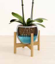 Load image into Gallery viewer, Deep Ocean stand:bamboo