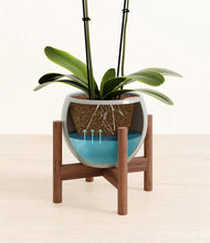 Load image into Gallery viewer, Deep Ocean stand:walnut