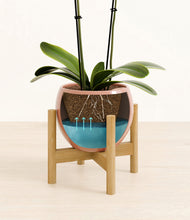 Load image into Gallery viewer, Calm Rose stand:bamboo