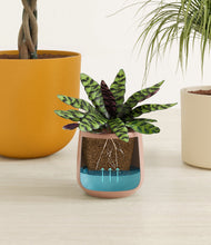 Load image into Gallery viewer, Evening Sky stand:all