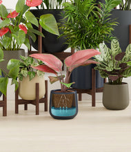 Load image into Gallery viewer, Winding River stand:nine_stands