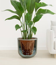 Load image into Gallery viewer, Sage Green stand:all