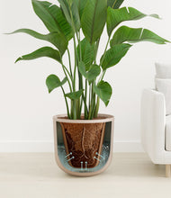 Load image into Gallery viewer, Sandy Pink stand:all