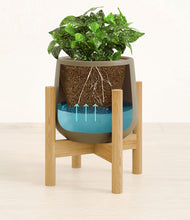 Load image into Gallery viewer, Olive stand:bamboo