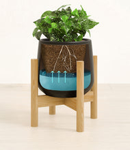 Load image into Gallery viewer, Black stand:bamboo