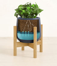 Load image into Gallery viewer, Deep Navy stand:bamboo