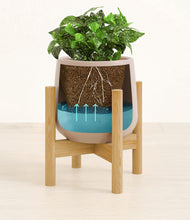 Load image into Gallery viewer, Eternal Gray stand:bamboo