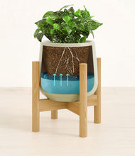 Load image into Gallery viewer, Turquoise stand:bamboo