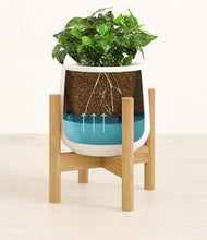 Load image into Gallery viewer, White stand:bamboo