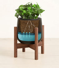 Load image into Gallery viewer, Black stand:walnut