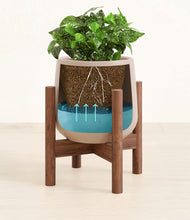 Load image into Gallery viewer, Eternal Gray stand:walnut