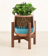 Load image into Gallery viewer, Calm Rose stand:walnut