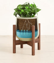 Load image into Gallery viewer, Turquoise stand:walnut