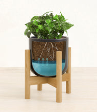 Load image into Gallery viewer, Stone Black stand:bamboo