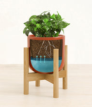 Load image into Gallery viewer, Glossy Red stand:bamboo