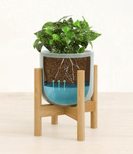 Load image into Gallery viewer, Misty Blue stand:bamboo