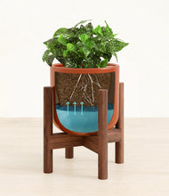 Load image into Gallery viewer, Glossy Red stand:walnut