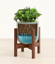 Load image into Gallery viewer, Misty Blue stand:walnut