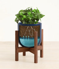 Load image into Gallery viewer, Twilight Blue stand:walnut