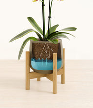 Load image into Gallery viewer, -