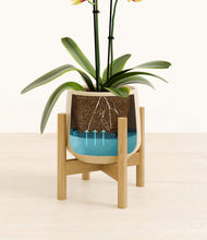 Load image into Gallery viewer, Almond Green stand:bamboo