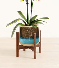 Load image into Gallery viewer, -