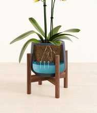 Load image into Gallery viewer, -