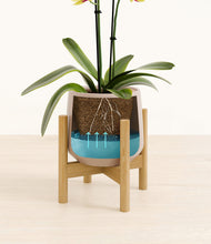 Load image into Gallery viewer, Eternal Gray stand:bamboo