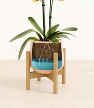 Load image into Gallery viewer, Gentle Pink stand:bamboo