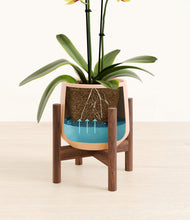 Load image into Gallery viewer, -