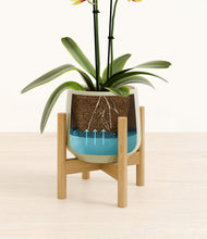 Load image into Gallery viewer, Turquoise stand:bamboo