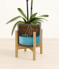 Load image into Gallery viewer, Dark Olive stand:bamboo