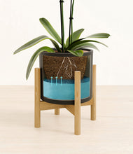 Load image into Gallery viewer, Black stand:bamboo