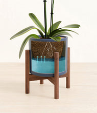 Load image into Gallery viewer, -