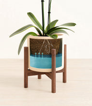 Load image into Gallery viewer, Cream stand:walnut