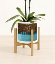 Load image into Gallery viewer, White stand:bamboo