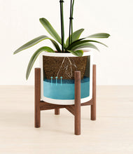 Load image into Gallery viewer, White stand:walnut