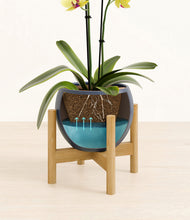 Load image into Gallery viewer, Deep Navy stand:bamboo