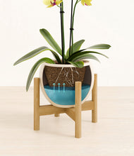 Load image into Gallery viewer, -