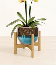 Load image into Gallery viewer, Winter Clouds stand:bamboo