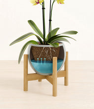 Load image into Gallery viewer, Deep Ocean stand:bamboo