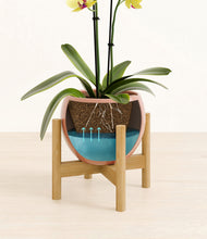 Load image into Gallery viewer, Calm Rose stand:bamboo