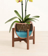 Load image into Gallery viewer, -