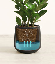 Load image into Gallery viewer, Black