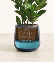 Load image into Gallery viewer, Deep Navy