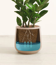 Load image into Gallery viewer, Eternal Gray