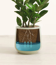 Load image into Gallery viewer, Turquoise