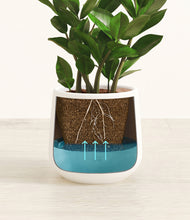 Load image into Gallery viewer, White