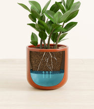 Load image into Gallery viewer, Glossy Red stand:all