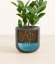 Load image into Gallery viewer, Iron Gray stand:all